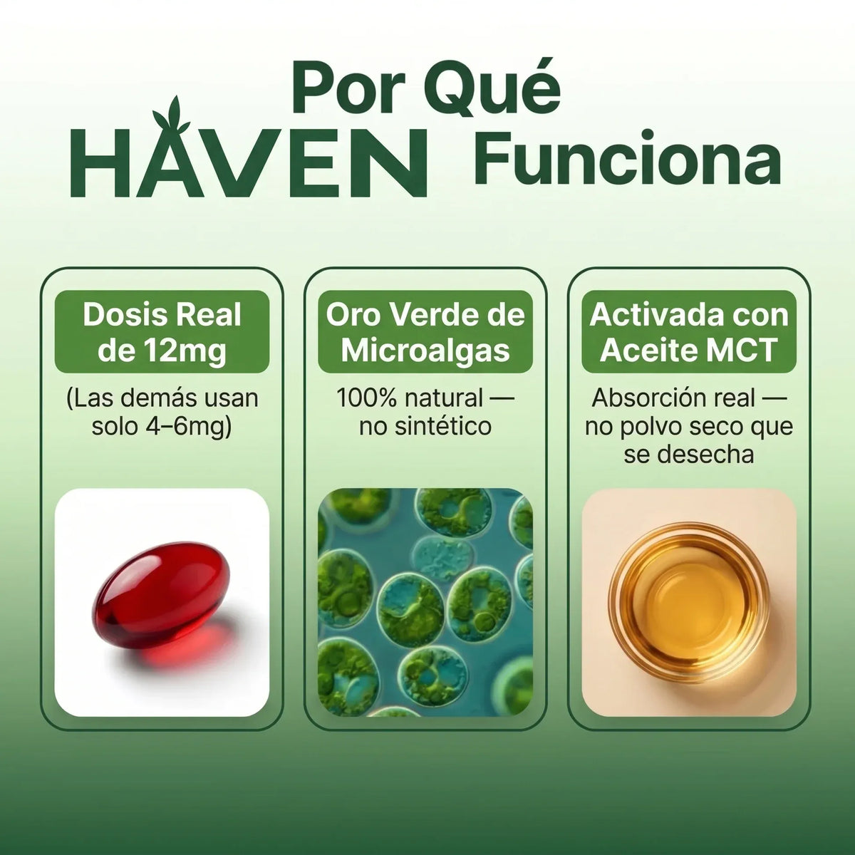 Astaxantina Natural 12mg - Antioxidante de Máxima Absorción para tu Piel, Visión y Energía (120 Cápsulas)